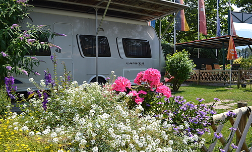 Campingmobil mit Blumen