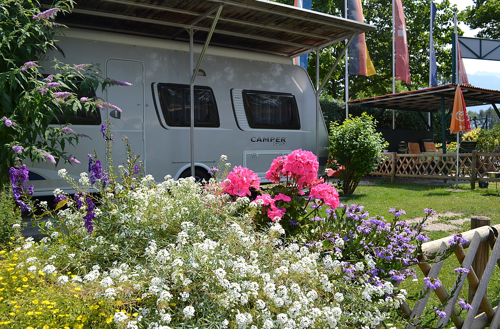 Campingmobil mit Blumen